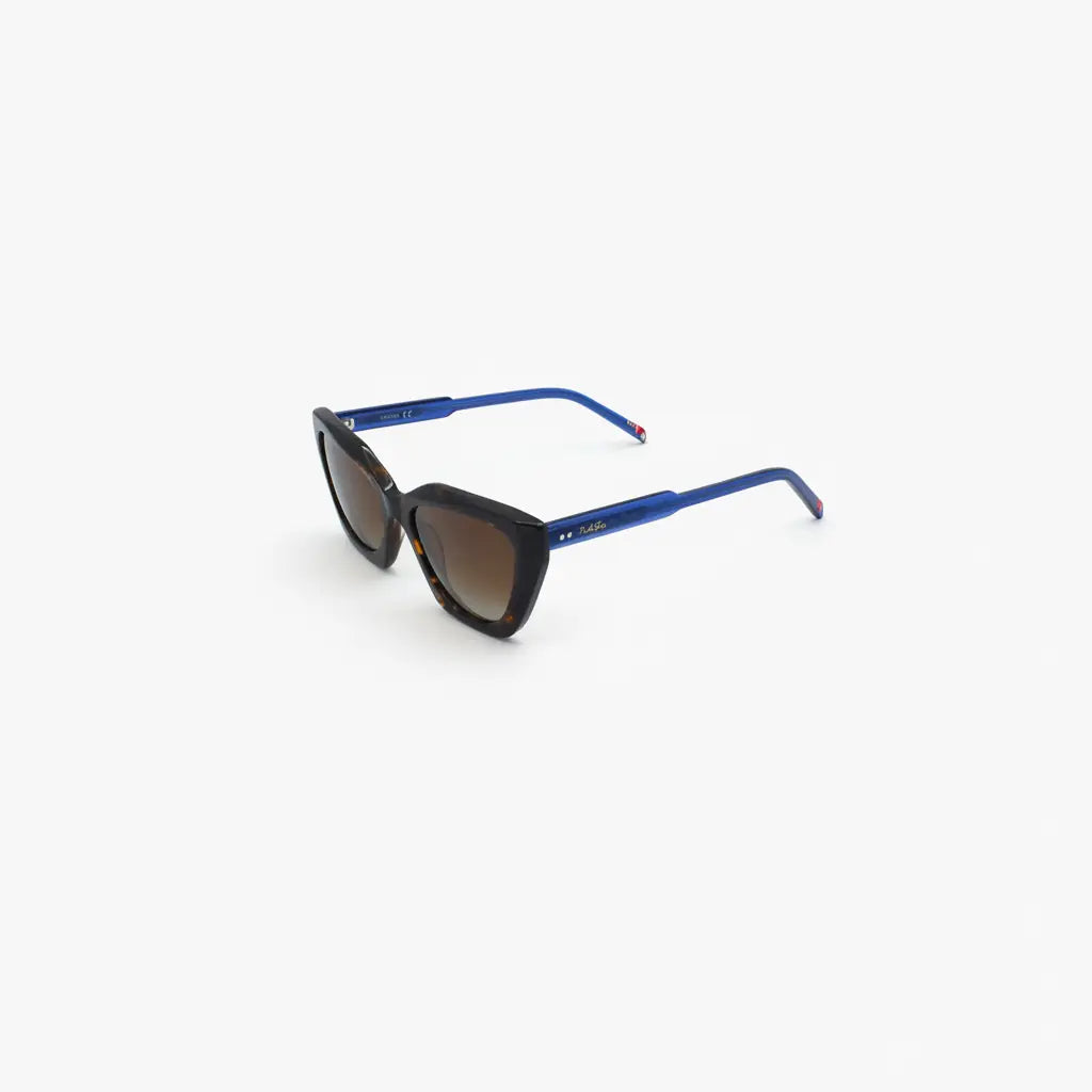 MBX1006-C2